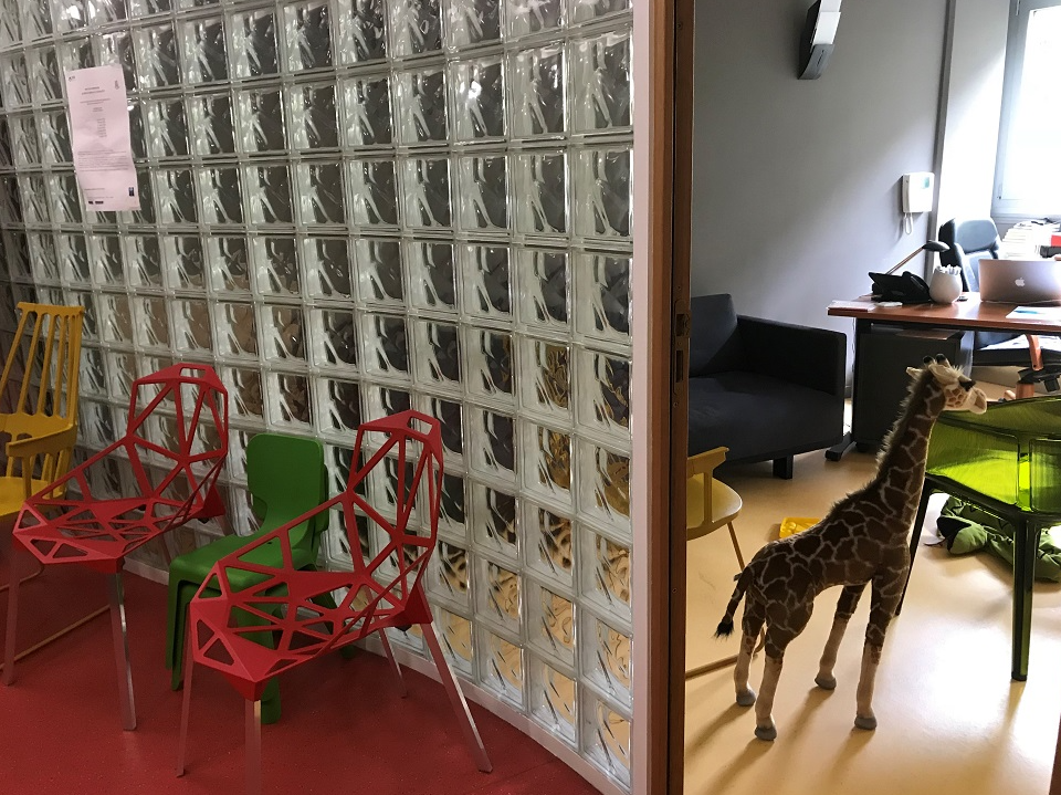 LE CENTRE MEDICO-PSYCHO-PEDAGOGIQUE PICHON-RIVIERE