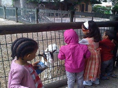 L&rsquo;Action Educative &agrave; Domicile