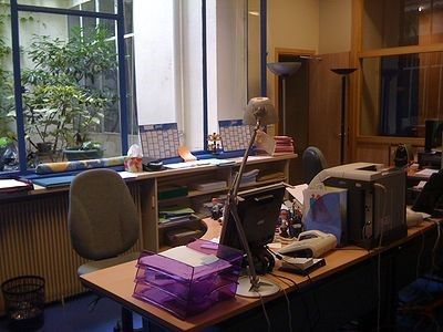 LE SERVICE DE PREVENTION ET PROTECTION DE L&rsquo;ENFANCE DE PARIS